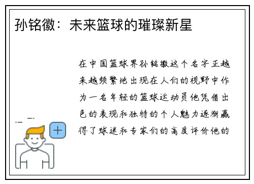 孙铭徽：未来篮球的璀璨新星